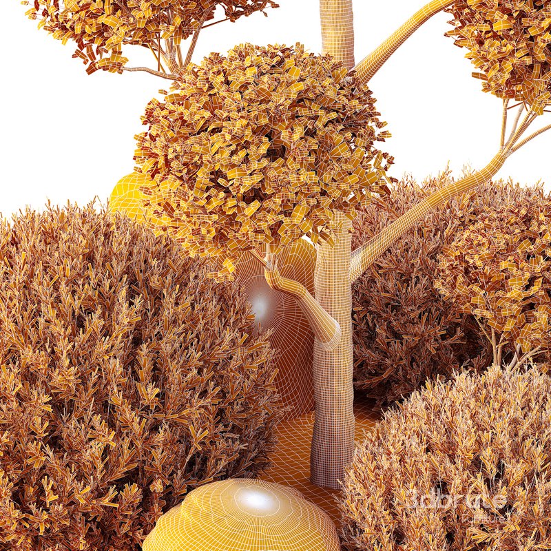 HQ Tree and bush garden box outdoor VOL 41 Image 6