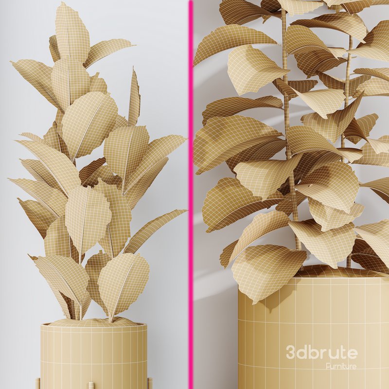 Rubber Ficus Elastica Abidjan Melany Vase 19 Image 7