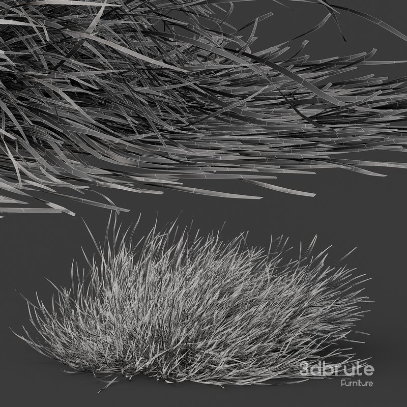 fall bush-6 different bush Image 7