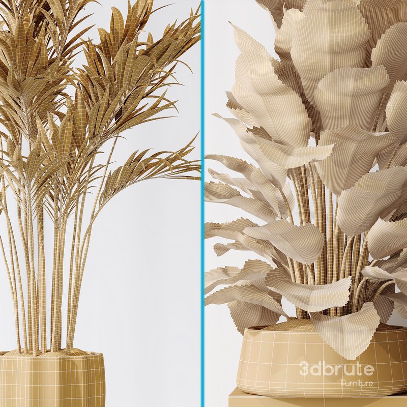 ParadiseBird and Areca Majesty Vase 14 Image 7