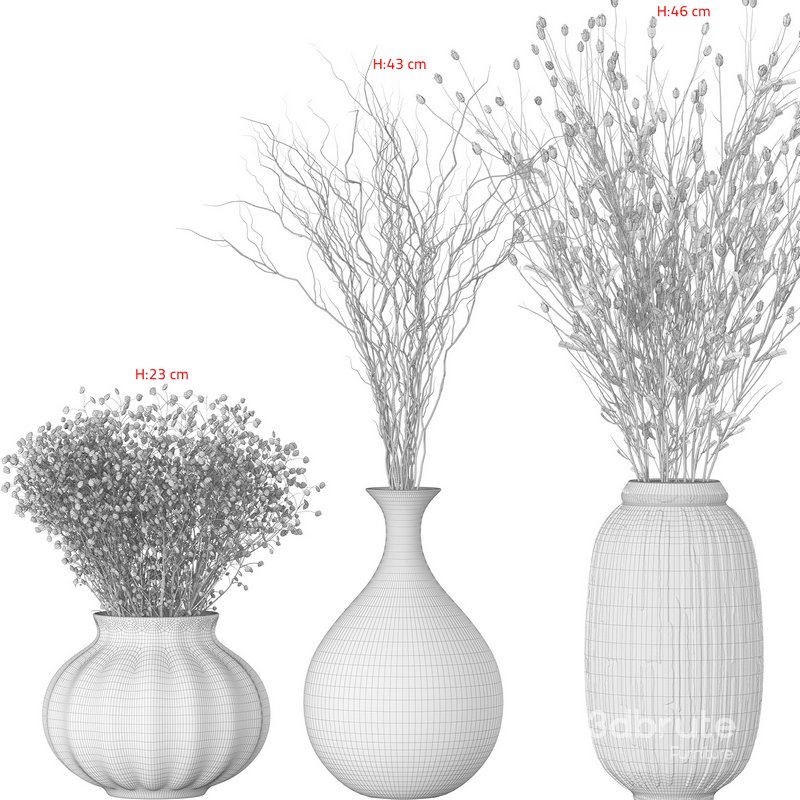 Bouquet – Dry plants 02 Image 5