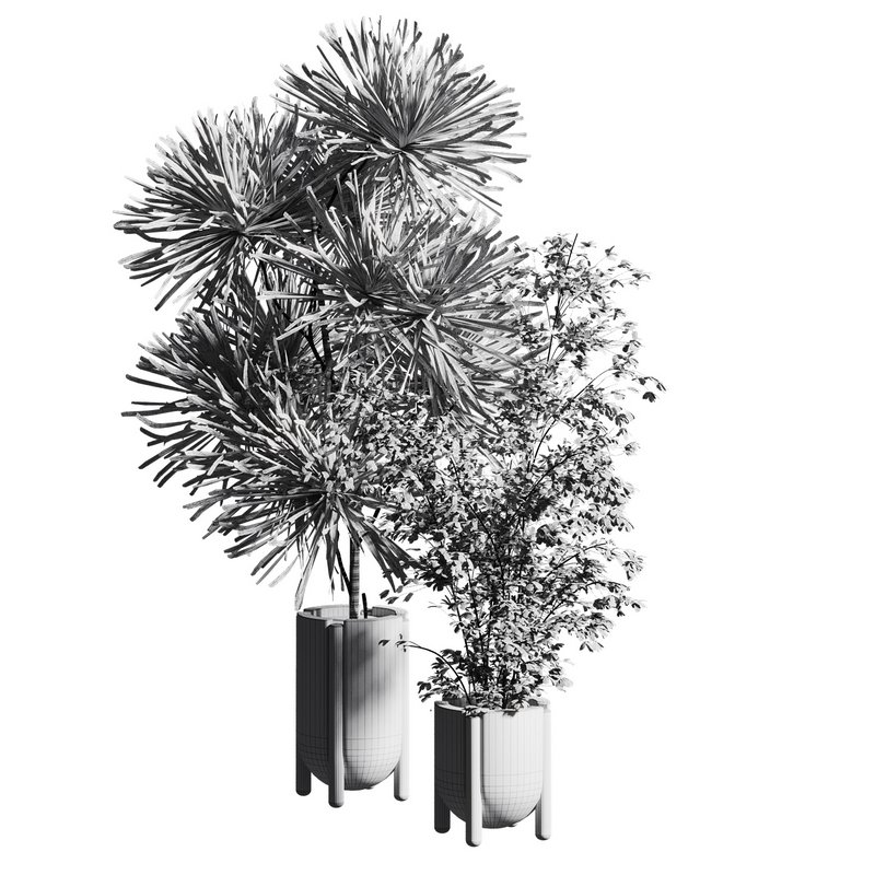 Indoor plant 06 Image 4