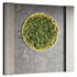 Green Wall 02 - Thumbnail 2