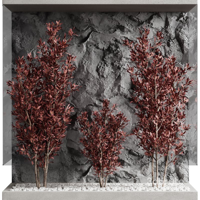 indoor plant set 18 Image 1