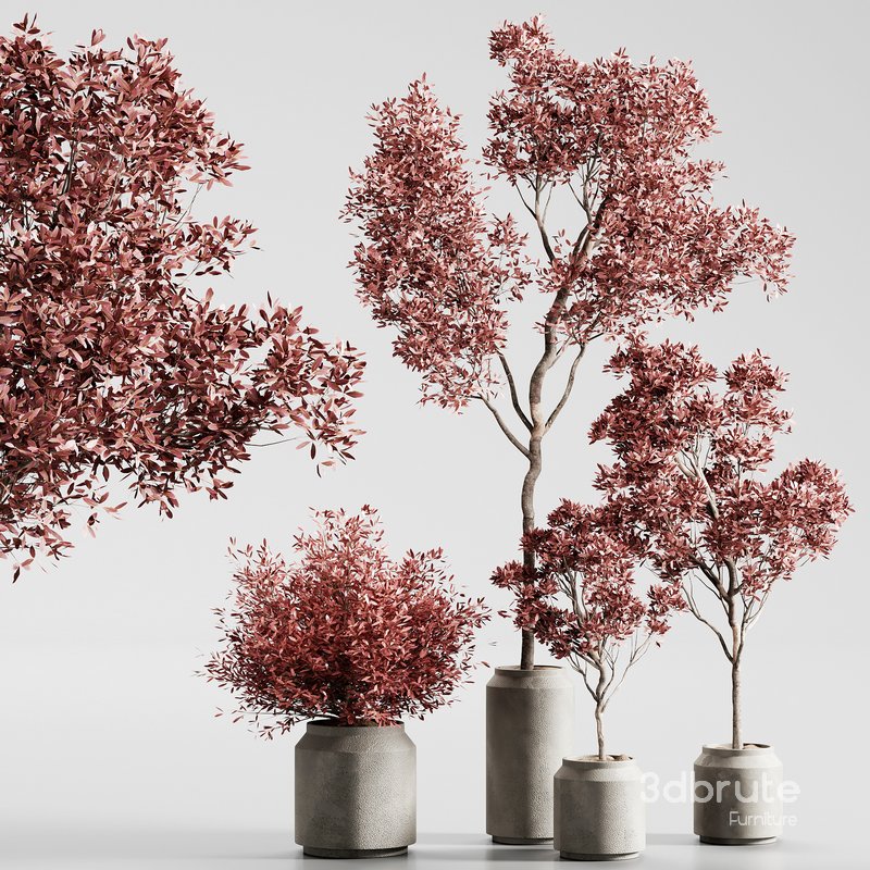 indoor plant set 13 Image 1