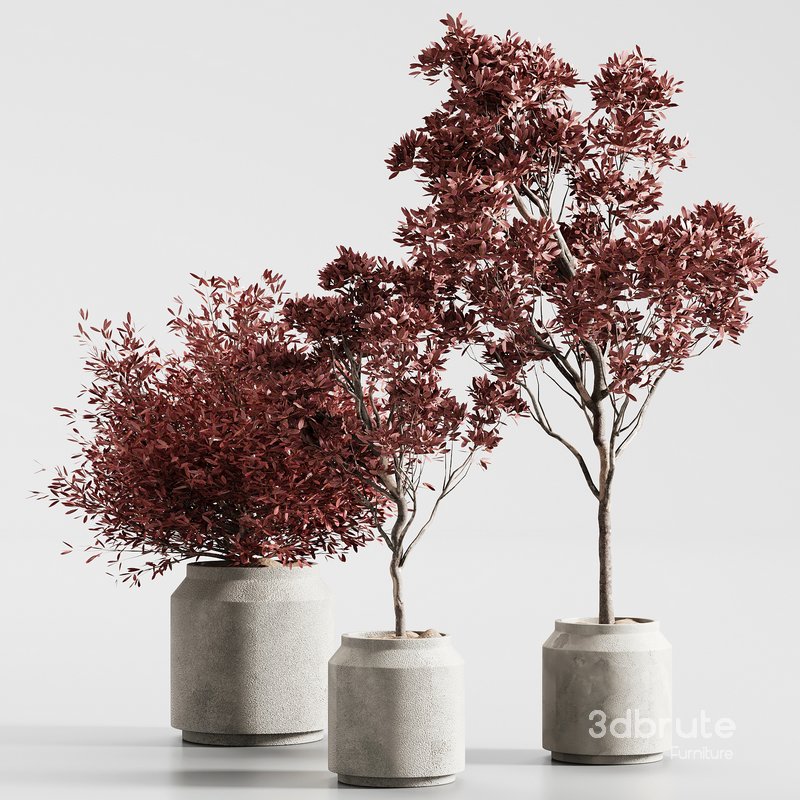 indoor plant set 13 Image 2