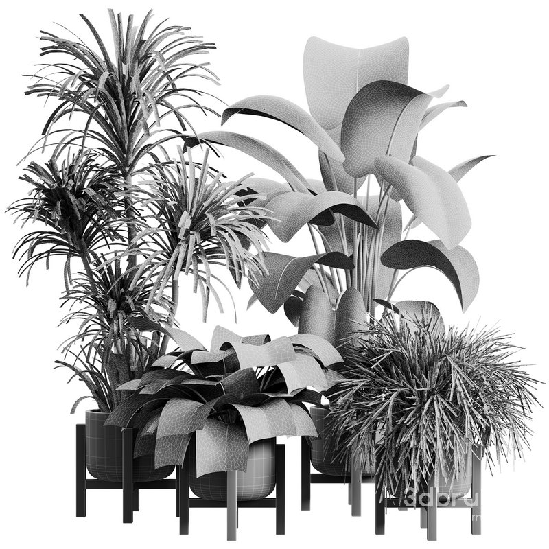 indoor plant set 26 Image 2