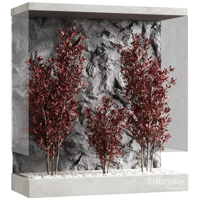 indoor plant set 18 Image 4