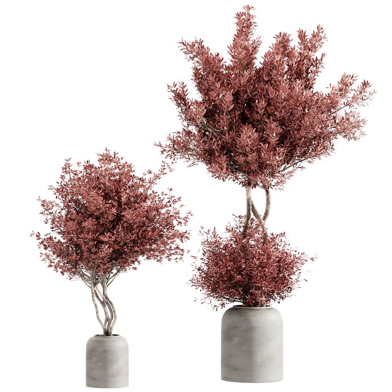 indoor plant set 21 Image 3