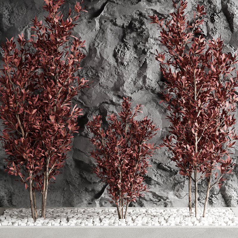 indoor plant set 18 Image 2