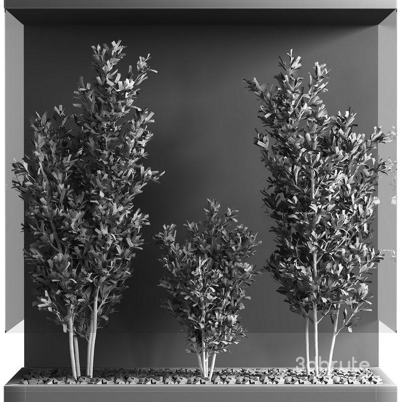 indoor plant set 18 Image 3