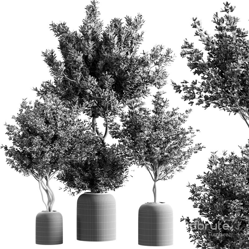 indoor plant set 21 Image 2