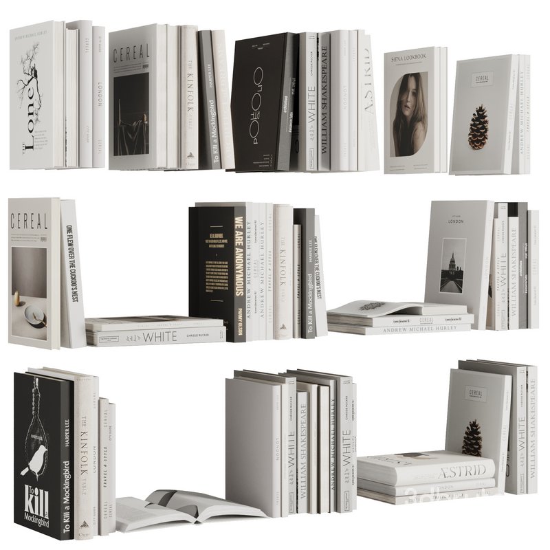 Set of Books V1 Image 1