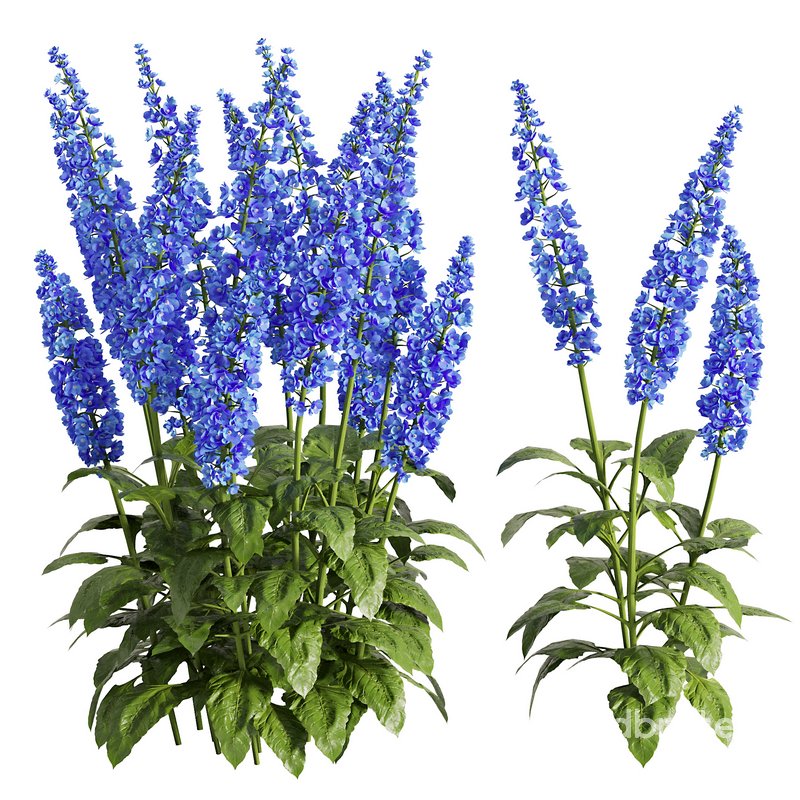 Flower Bush Set2 Image 1