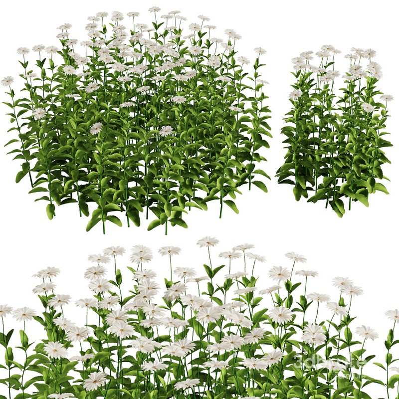 Flower Bush Set1 Image 1