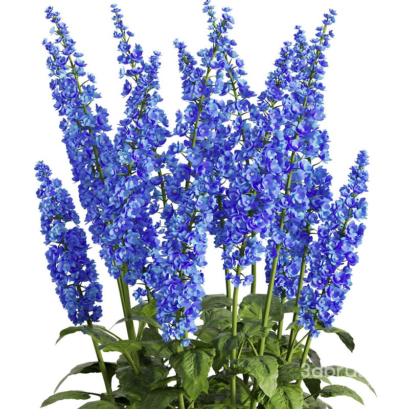 Flower Bush Set2 Image 2