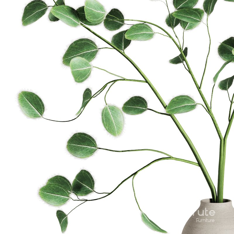 Dry Branches Bouquet25 Image 2