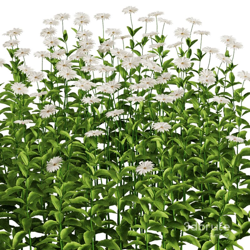 Flower Bush Set1 Image 3