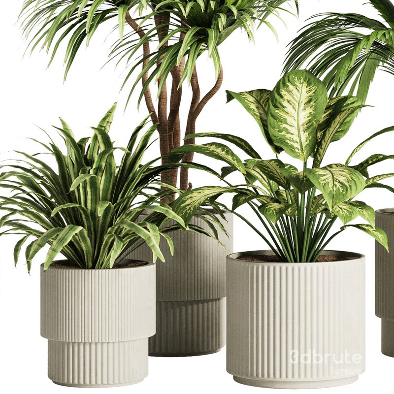 Indoor Plant Set52 Image 2