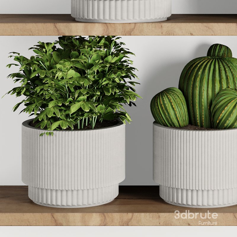 Plants on Shelf SetV9 Image 2