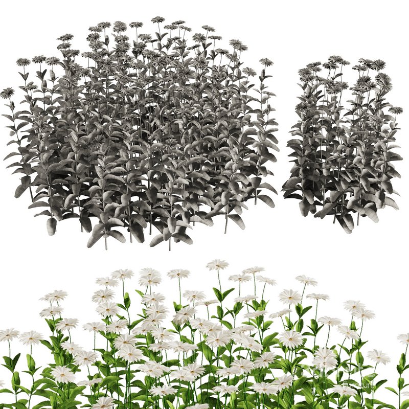 Flower Bush Set1 Image 2