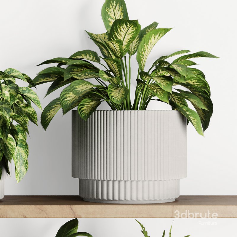 Plants on Shelf SetV10 Image 4