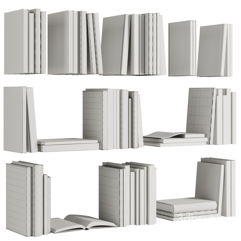 Set of Books V1 Image 4