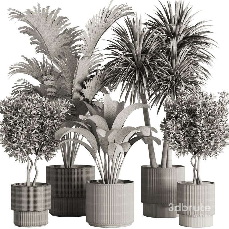 Indoor Plant Set51 Image 6