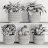 Plants on Shelf SetV9 - Thumbnail 6