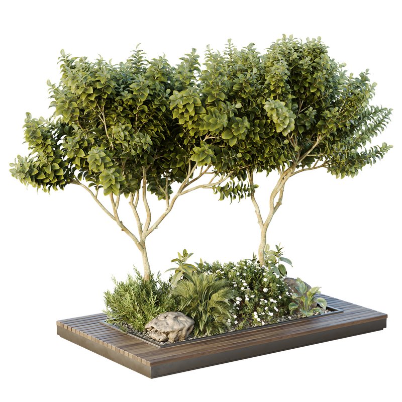 HQ Tree and bush garden box outdoor VOL 46 Image 1