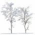 Winter Snow Tree 01 - Thumbnail 1