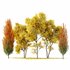 Maple Sapindaceae and Acer Saccharinum Fall trees - Thumbnail 1