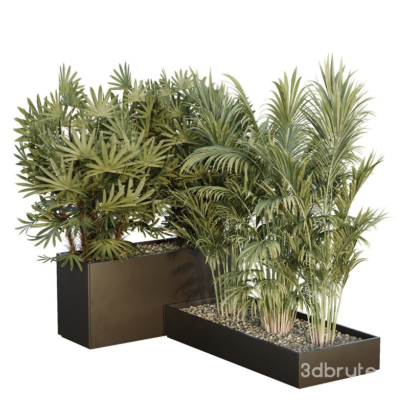 HQ Tree and bush garden box outdoor VOL 44 Image 1