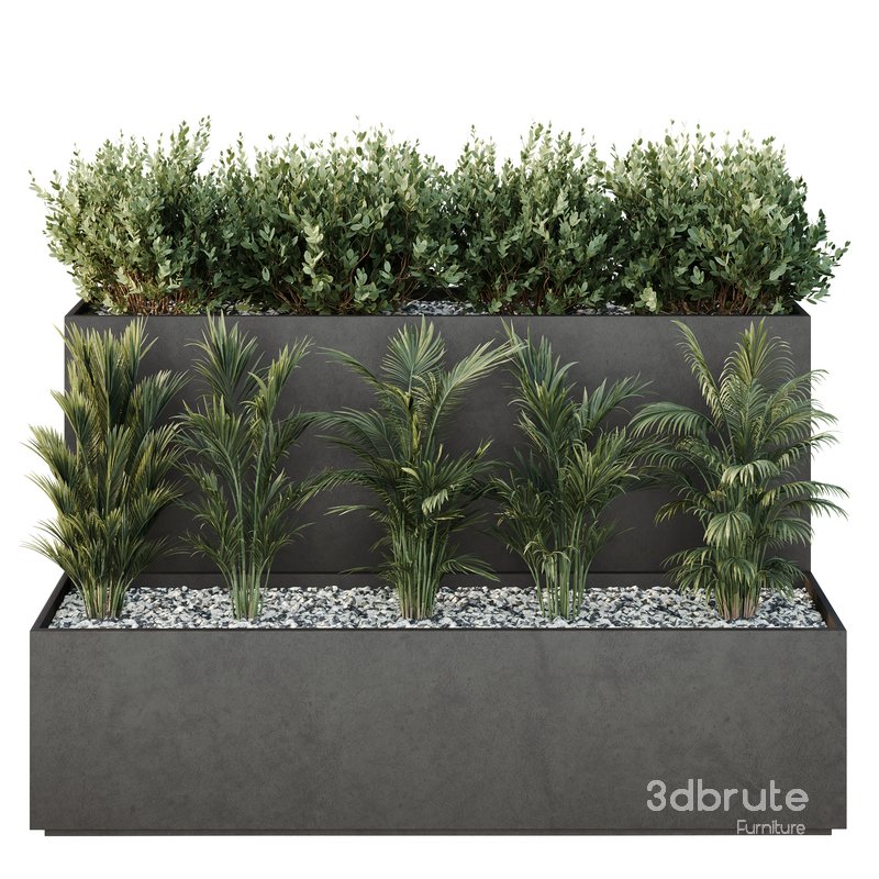 Tree and bush garden box outdoor VOL 55 Image 2