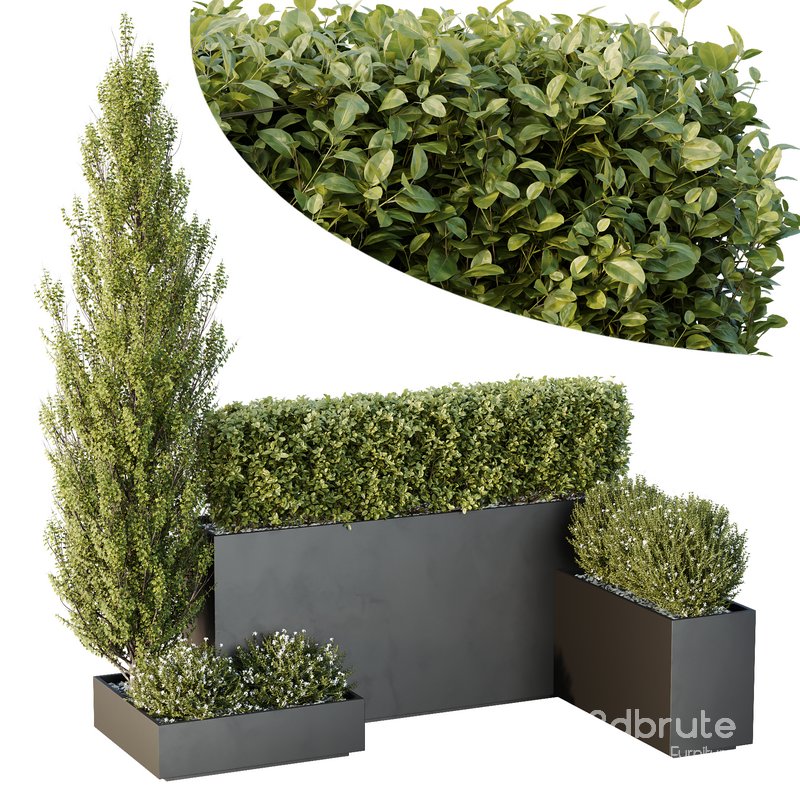 HQ Tree and bush garden box outdoor VOL 49 Image 2