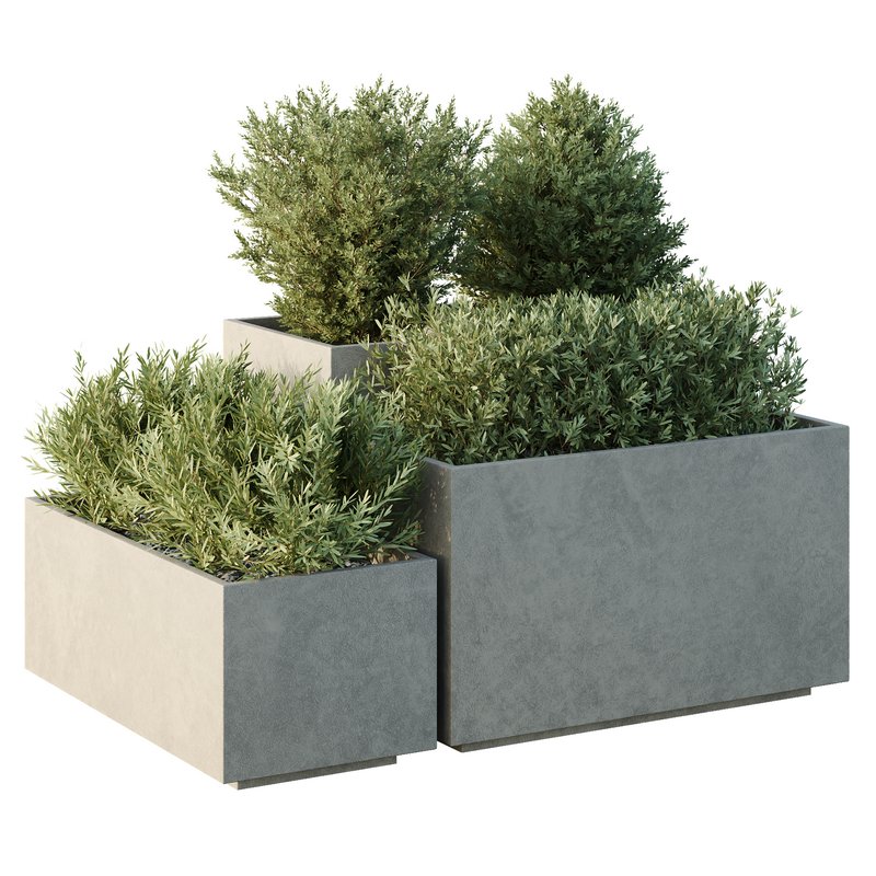HQ Tree and bush garden box outdoor VOL 52 Image 1