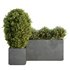 HQ Tree and bush garden box outdoor VOL 46 - Thumbnail 2