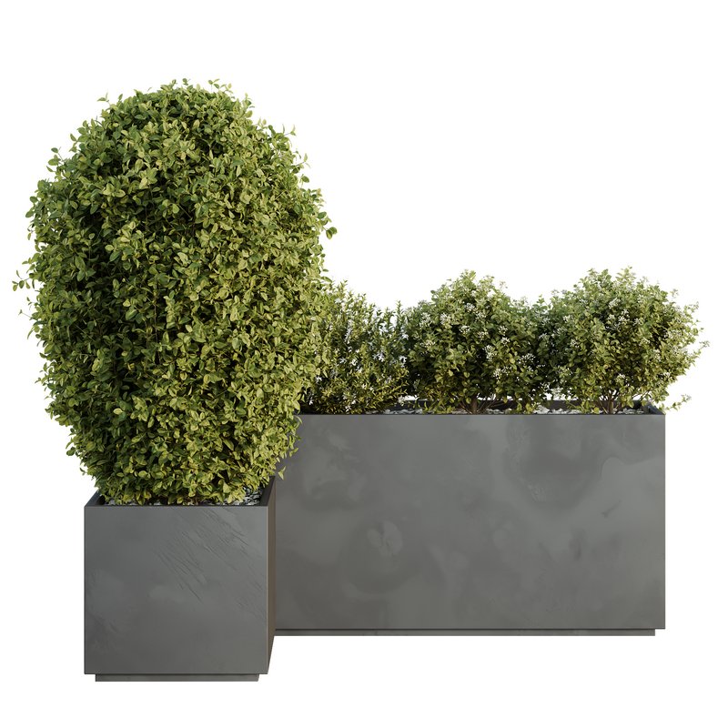 HQ Tree and bush garden box outdoor VOL 46 Image 2