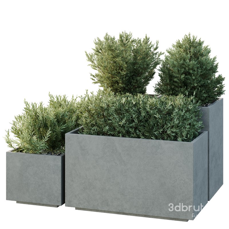 HQ Tree and bush garden box outdoor VOL 52 Image 2