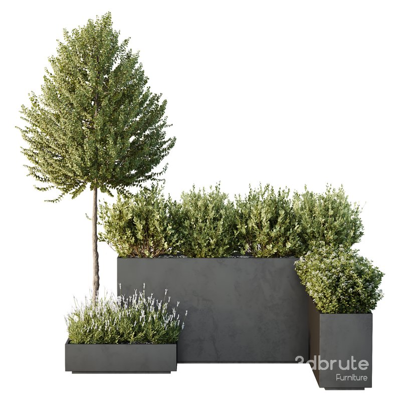 HQ Tree and bush garden box outdoor VOL 50 Image 2
