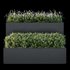 HQ Tree and bush garden box outdoor VOL 53 - Thumbnail 2