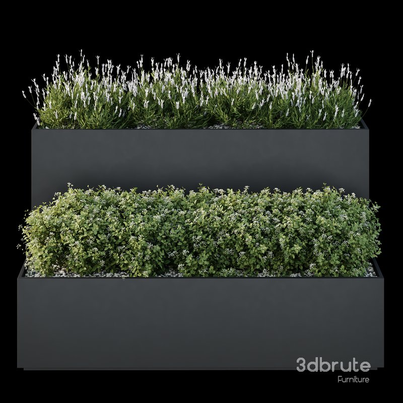 HQ Tree and bush garden box outdoor VOL 53 Image 2