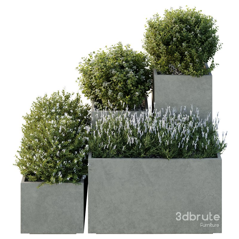 HQ Tree and bush garden box outdoor VOL 51 Image 3