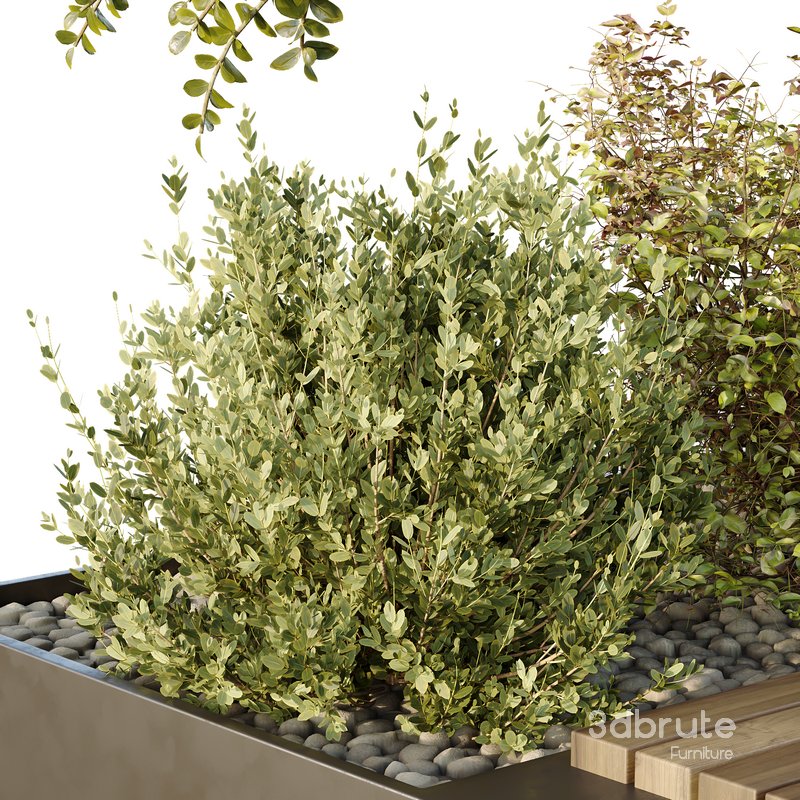 HQ Tree and bush garden box outdoor VOL 54 Image 2