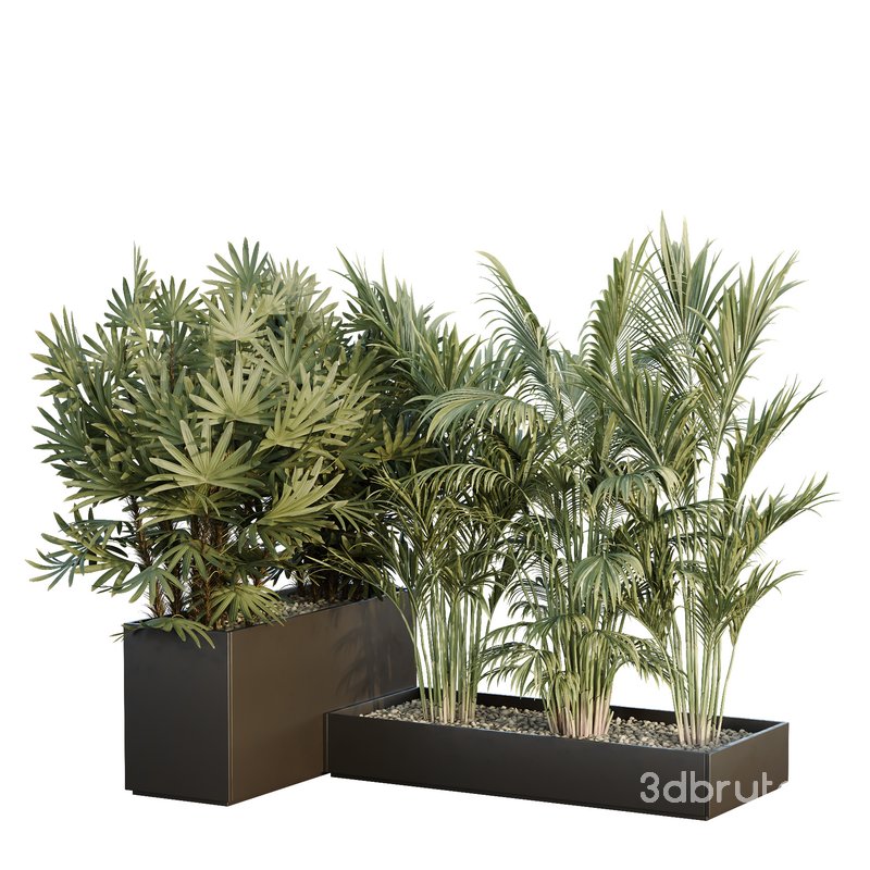 HQ Tree and bush garden box outdoor VOL 44 Image 2