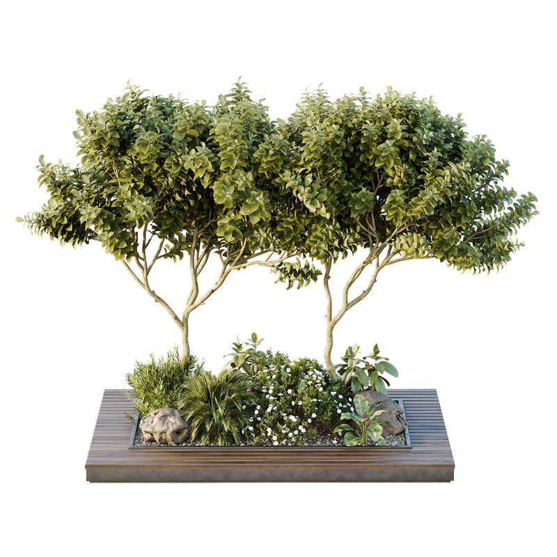 HQ Tree and bush garden box outdoor VOL 46 Image 2