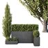HQ Tree and bush garden box outdoor VOL 49 - Thumbnail 1