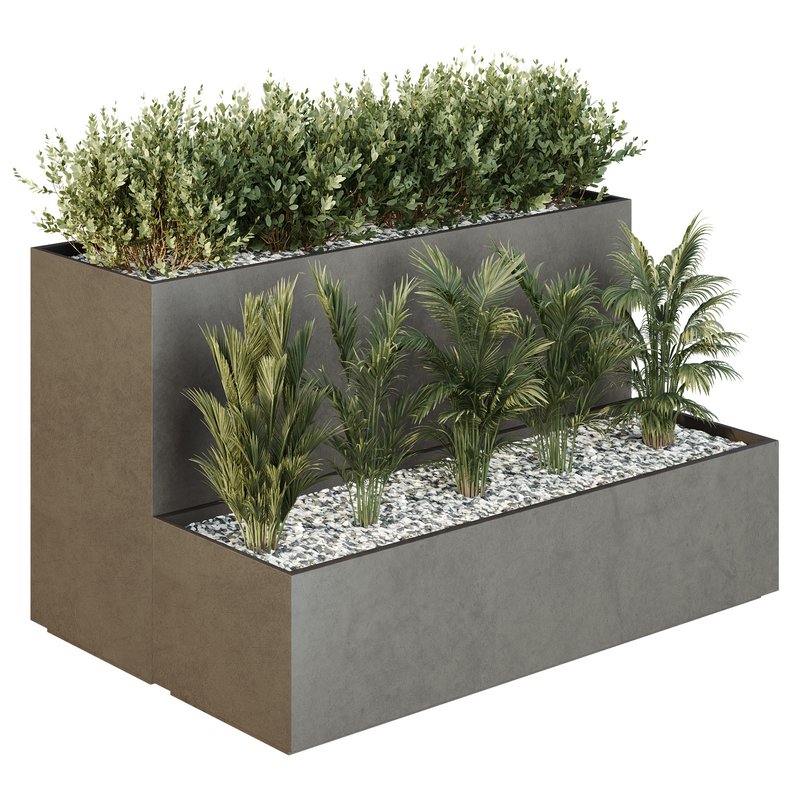 Tree and bush garden box outdoor VOL 55 Image 1