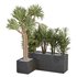 HQ Tree and bush garden box outdoor VOL 45 - Thumbnail 1