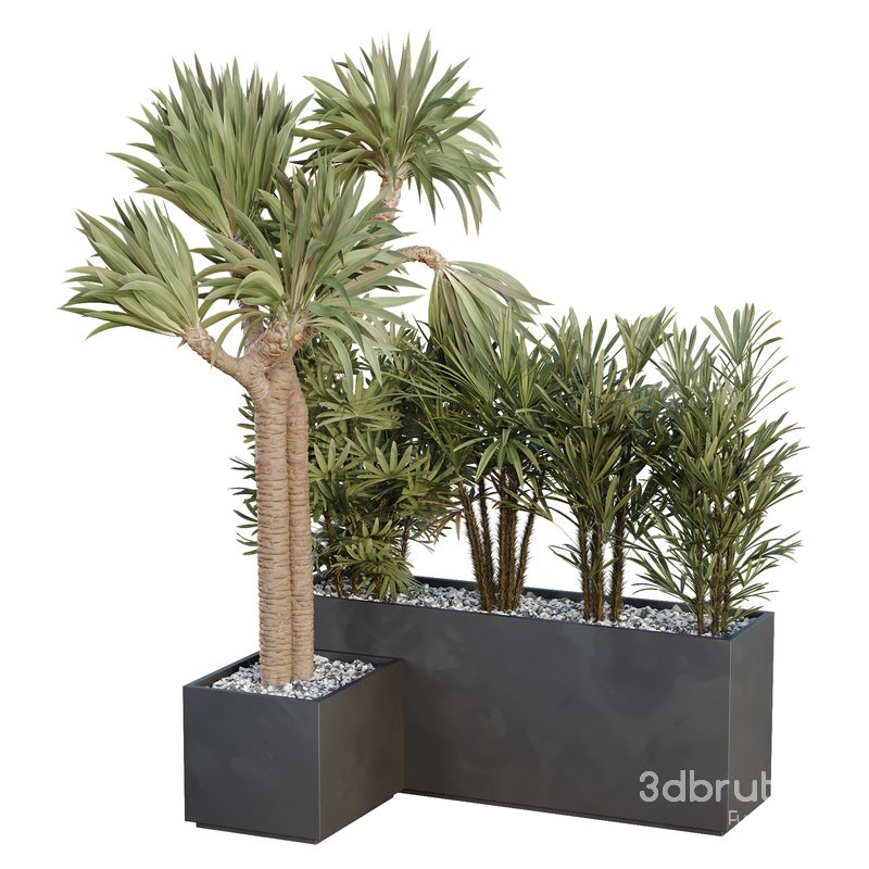 HQ Tree and bush garden box outdoor VOL 45 Image 1